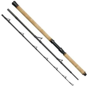 Kinetic Battler CF 6'6" P10 30-50lbs/200-600g 3sec