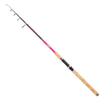 JENZI Tele Lady-Stick (20-50) 2