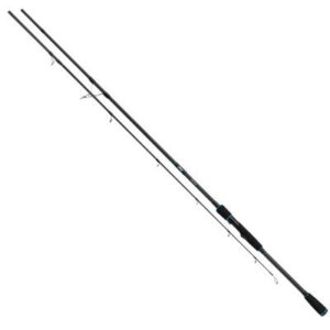Salmo Slider stick 180cm 40-100g 2pc