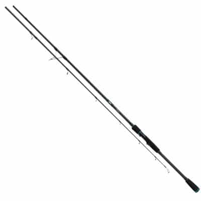 Salmo Slider stick 180cm 40-100g 2pc