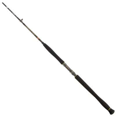 PENN Legion Cat Gold Monster 1.72m Max 400g