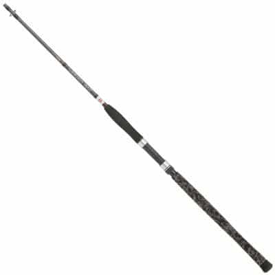 PENN Legion Cat Silver Spin 2.70m 40-160g