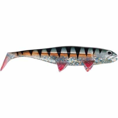 Jackson The Fish 12