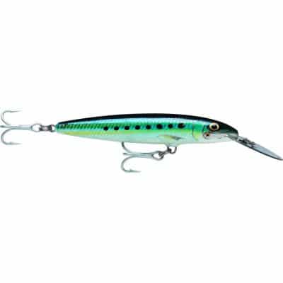 Rapala Countdown magnum 11 Sardine