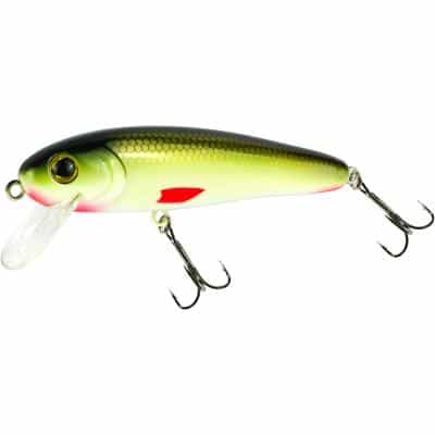 Seika Pro Akita Chub 110mm