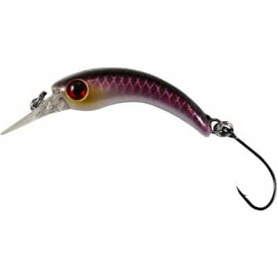Paladin TF Wobbler Micro Curvy 2