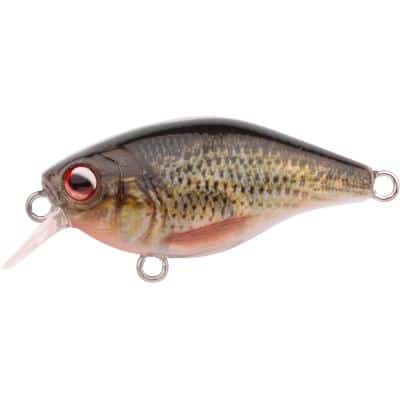 Spro Ikiru Naturals Min.Crank 38 Sl Roach 4g