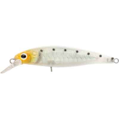 Spro Ikiru Silent Jerk 65 Shirazu 6