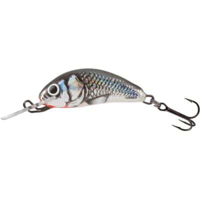 Salmo Hornet Sinking 2.5cm 1