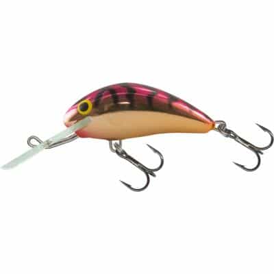 Salmo Rattlin Hornet schwimmend 3.5cm 3.1G Viking 1