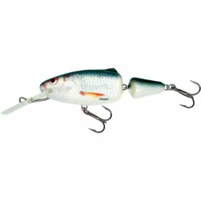 Salmo Frisky Shallow Runner 7cm 7g 1