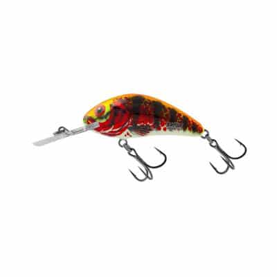 Salmo Hornet Rattlin 3