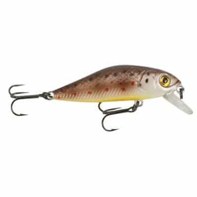 Iron Claw Apace MC40 S BBT