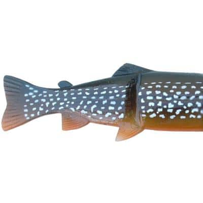 Castaic Hard Head 30