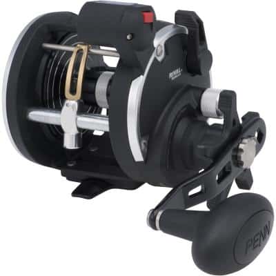 Penn Rival Level Wind 15 Lw Lc Lh Reel Box