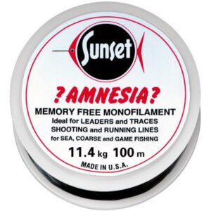 Amnesia Leader Vorfach Schwarz 25lbs 100m