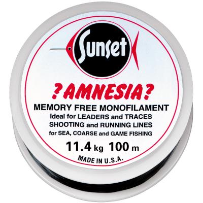 Amnesia Leader Vorfach Schwarz 25lbs 100m