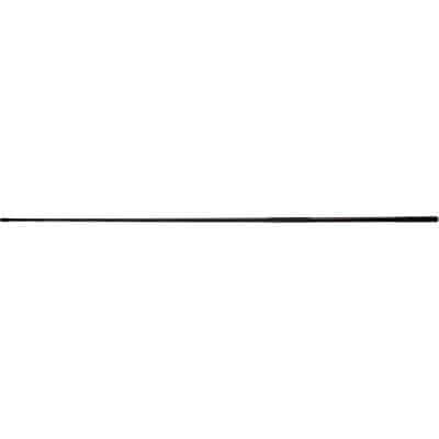 Lion Sports Treasure Carpnet 1