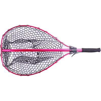 Berkley Telescopic Catch N Release Net